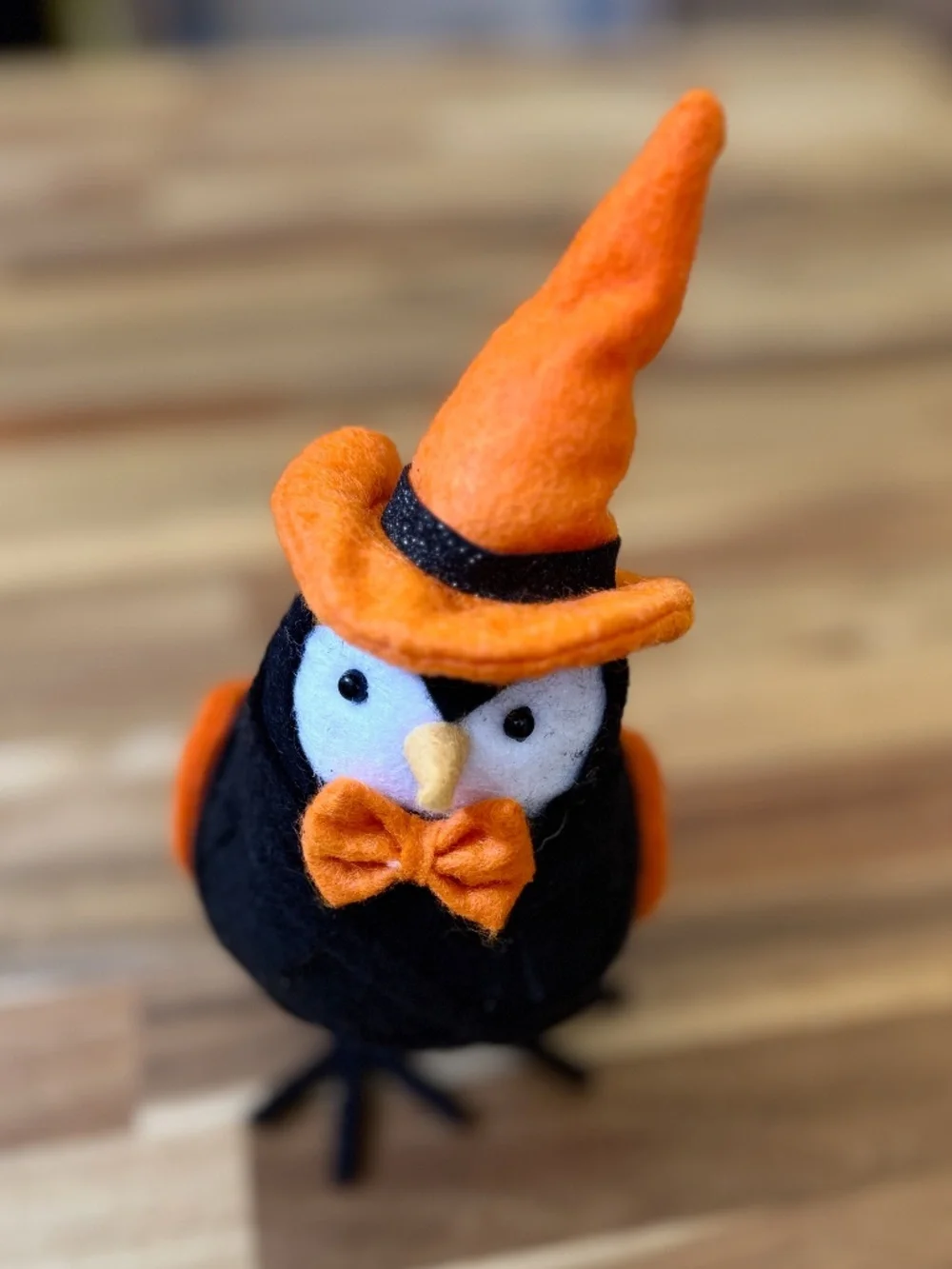 Target Halloween orange witch hat bird - Featherly Friends